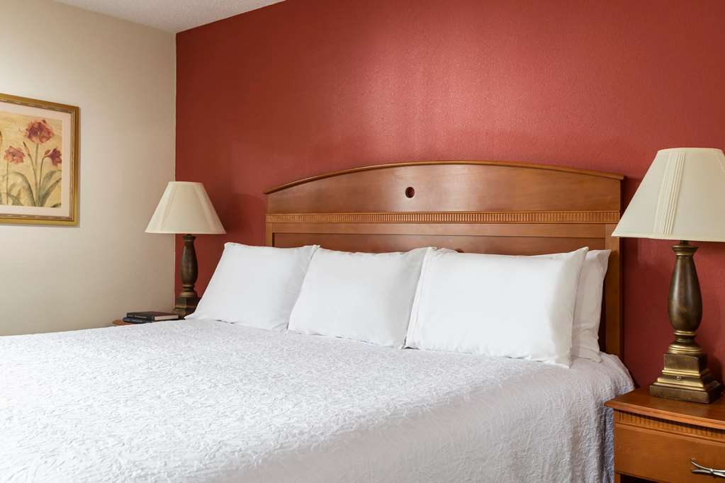 Hampton Inn By Hilton Youngstown-West I-80 Mineral Ridge Phòng bức ảnh